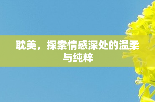 耽美,探索情感深处的温柔与纯粹 耽美,探索情感深处的温柔与纯粹