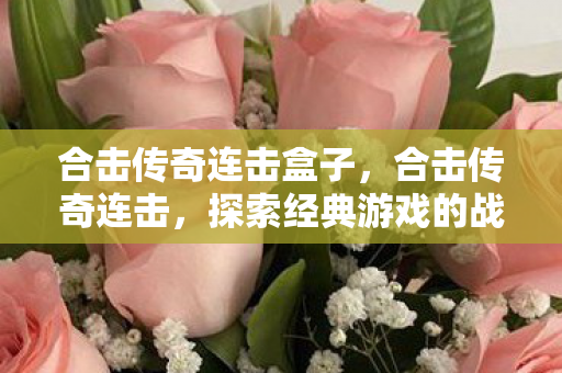 合击传奇连击盒子,合击传奇连击,探索经典游戏的战斗艺术 合击传奇连击盒子,合击传奇连击,探索经典游戏的战斗艺术