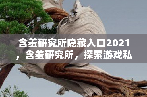 含羞研究所隐藏入口2021，含羞研究所，探索游戏私服的独特魅力与风险