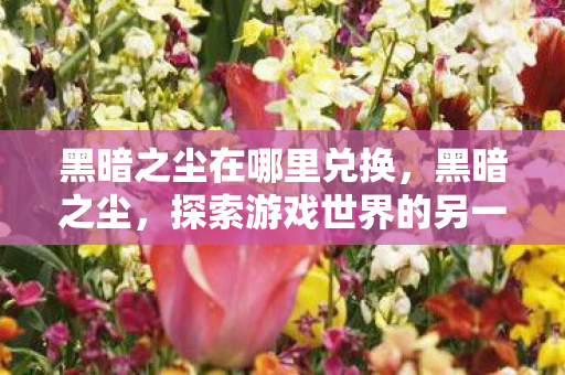 黑暗之尘在哪里兑换，黑暗之尘，探索游戏世界的另一面