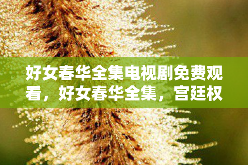 好女春华全集电视剧免费观看，好女春华全集，宫廷权谋与情感纠葛的深刻剖析