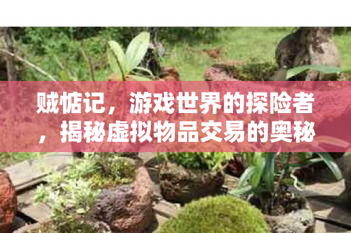 贼惦记，游戏世界的探险者，揭秘虚拟物品交易的奥秘