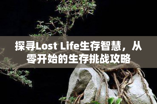 探寻Lost Life生存智慧，从零开始的生存挑战攻略
