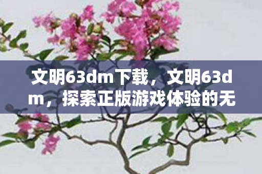 文明63dm下载，文明63dm，探索正版游戏体验的无限可能