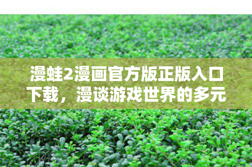 漫蛙2漫画官方版正版入口下载，漫谈游戏世界的多元体验，探索非官方服务器的新奇乐趣