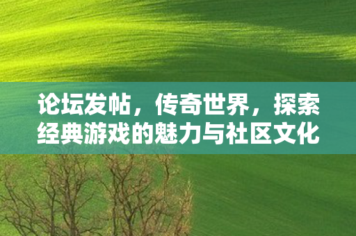 论坛发帖，传奇世界，探索经典游戏的魅力与社区文化
