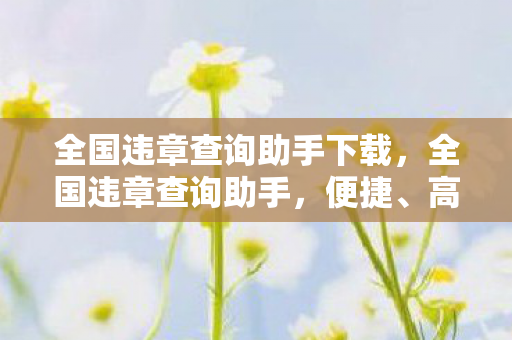 全国违章查询助手下载，全国违章查询助手，便捷、高效、安全的交通违法查询工具