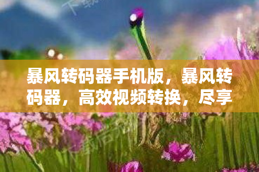 暴风转码器手机版，暴风转码器，高效视频转换，尽享多媒体盛宴