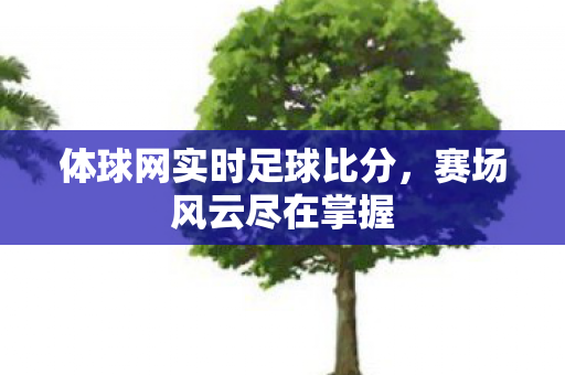体球网实时足球比分，赛场风云尽在掌握