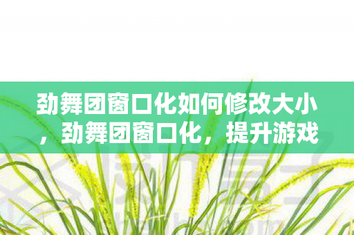 劲舞团窗口化如何修改大小，劲舞团窗口化，提升游戏体验的实用技巧