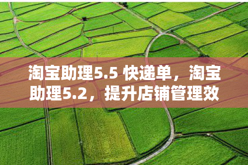 淘宝助理5.5 快递单，淘宝助理5.2，提升店铺管理效率的神器