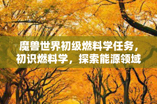 魔兽世界初级燃料学任务，初识燃料学，探索能源领域的未来趋势