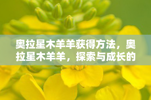 奥拉星木羊羊获得方法，奥拉星木羊羊，探索与成长的奇妙旅程