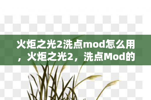 火炬之光2洗点mod怎么用，火炬之光2，洗点Mod的无限可能