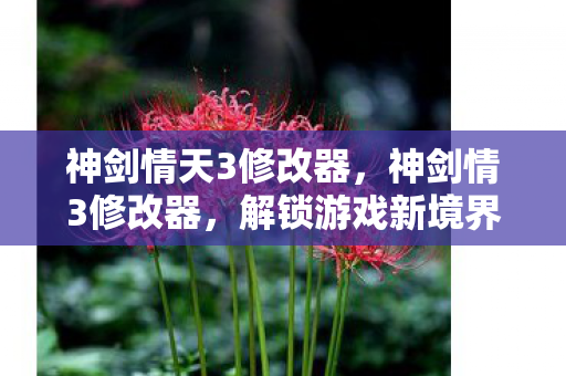 神剑情天3修改器，神剑情3修改器，解锁游戏新境界的神奇工具