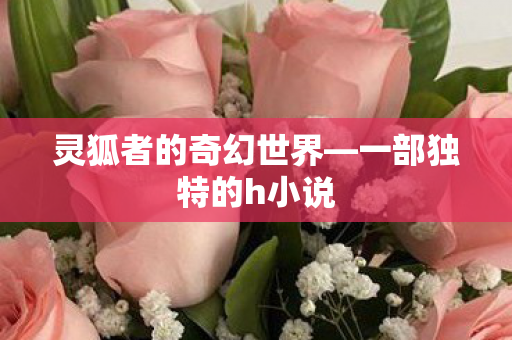 灵狐者的奇幻世界—一部独特的h小说