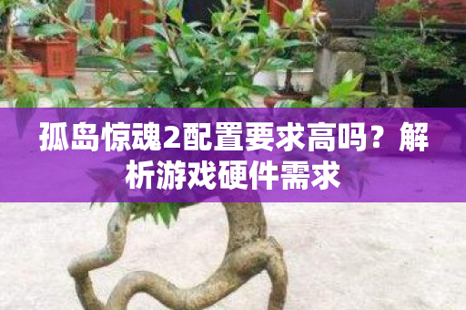 孤岛惊魂2配置要求高吗？解析游戏硬件需求