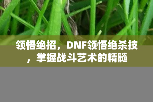 领悟绝招,DNF领悟绝杀技,掌握战斗艺术的精髓 领悟绝招,DNF领悟绝杀技,掌握战斗艺术的精髓