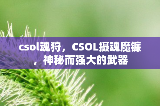 csol魂狩，CSOL摄魂魔镰，神秘而强大的武器