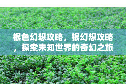 银色幻想攻略，银幻想攻略，探索未知世界的奇幻之旅
