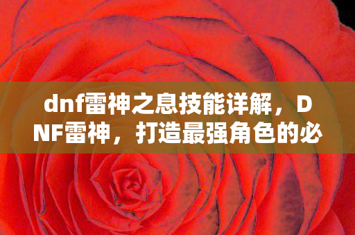 dnf雷神之息技能详解,DNF雷神,打造最强角色的必备攻略 dnf雷神之息技能详解,DNF雷神,打造最强角色的必备攻略
