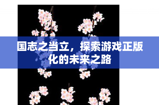 国志之当立，探索游戏正版化的未来之路