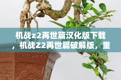 机战z2再世篇汉化版下载，机战Z2再世篇破解版，重温经典，畅享无限战斗