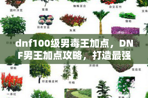 dnf100级男毒王加点，DNF男王加点攻略，打造最强战斗力的关键