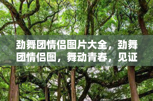 劲舞团情侣图片大全，劲舞团情侣图，舞动青春，见证爱情