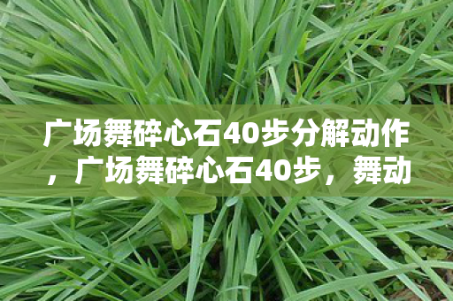 广场舞碎心石40步分解动作,广场舞碎心石40步,舞动生活的艺术 广场舞碎心石40步分解动作,广场舞碎心石40步,舞动生活的艺术
