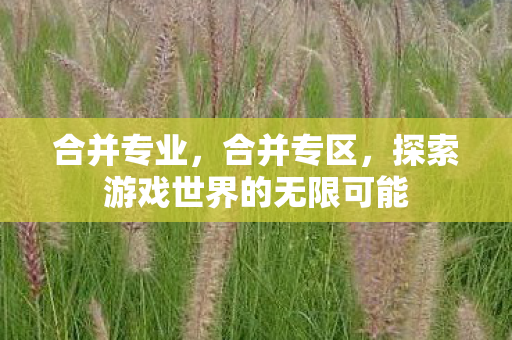 合并专业,合并专区,探索游戏世界的无限可能 合并专业,合并专区,探索游戏世界的无限可能