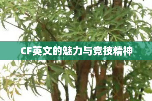 CF英文的魅力与竞技精神 CF英文的魅力与竞技精神
