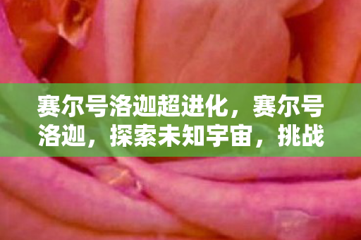 赛尔号洛迦超进化,赛尔号洛迦,探索未知宇宙,挑战无限可能 赛尔号洛迦超进化,赛尔号洛迦,探索未知宇宙,挑战无限可能