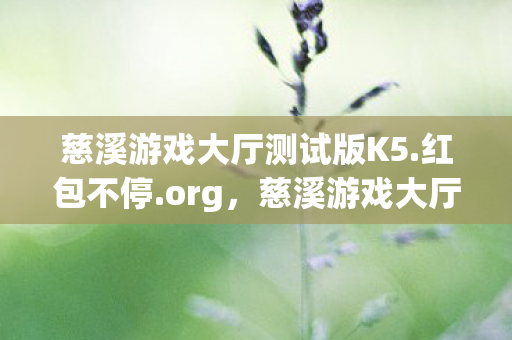 慈溪游戏大厅测试版K5.红包不停.org，慈溪游戏大厅，打造高品质游戏体验的殿堂