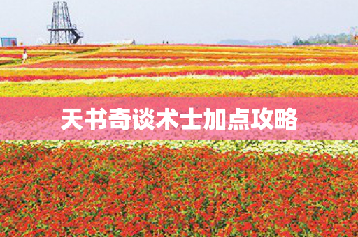 天书奇谈术士加点攻略 天书奇谈术士加点攻略
