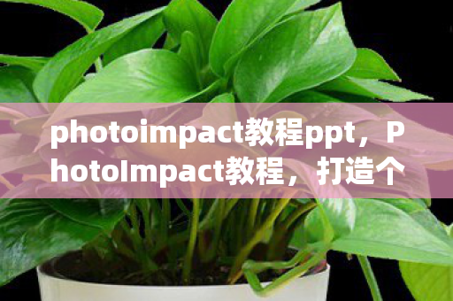 photoimpact教程ppt，PhotoImpact教程，打造个性化图片编辑与设计的艺术之旅