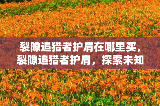 裂隙追猎者护肩在哪里买，裂隙追猎者护肩，探索未知领域的装备传奇