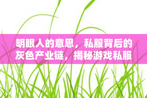 明眼人的意思，私服背后的灰色产业链，揭秘游戏私服的运营与盈利