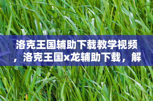 洛克王国辅助下载教学视频，洛克王国x龙辅助下载，解锁无限可能的冒险之旅