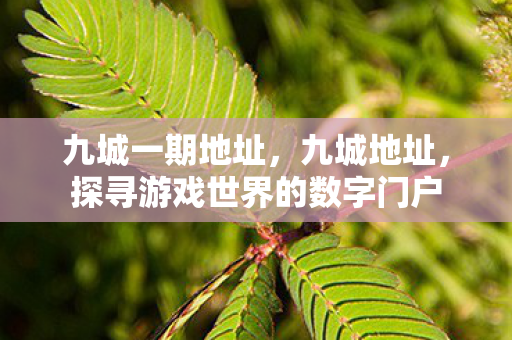 九城一期地址,九城地址,探寻游戏世界的数字门户 九城一期地址,九城地址,探寻游戏世界的数字门户