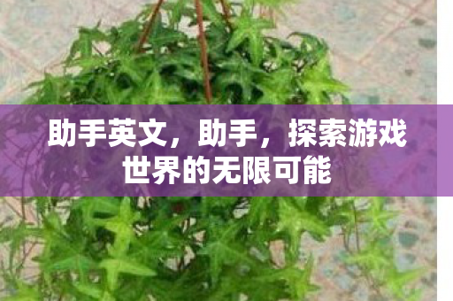 助手英文，助手，探索游戏世界的无限可能