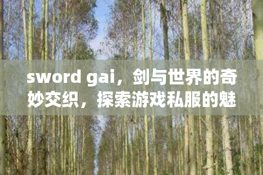 sword gai，剑与世界的奇妙交织，探索游戏私服的魅力与界限