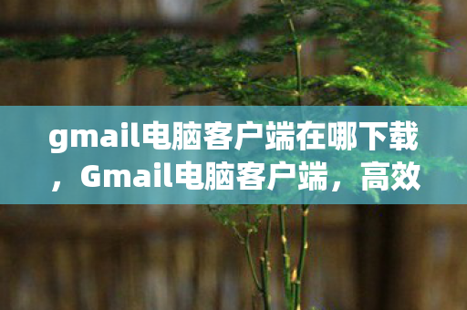 gmail电脑客户端在哪下载，Gmail电脑客户端，高效办公的得力助手