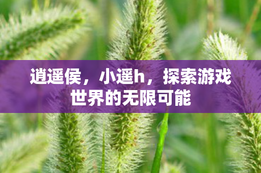 逍遥侯,小遥h,探索游戏世界的无限可能 逍遥侯,小遥h,探索游戏世界的无限可能