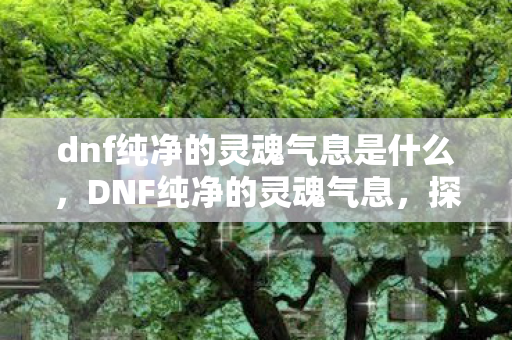 dnf纯净的灵魂气息是什么，DNF纯净的灵魂气息，探索游戏世界的深层魅力