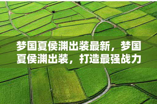 梦国夏侯渊出装最新，梦国夏侯渊出装，打造最强战力的关键