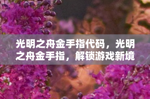光明之舟金手指代码，光明之舟金手指，解锁游戏新境界的神奇工具