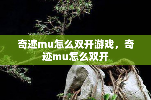奇迹mu怎么双开游戏,奇迹mu怎么双开 奇迹mu怎么双开游戏,奇迹mu怎么双开