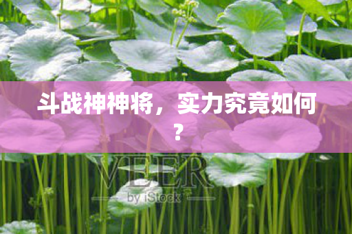 斗战神神将，实力究竟如何？