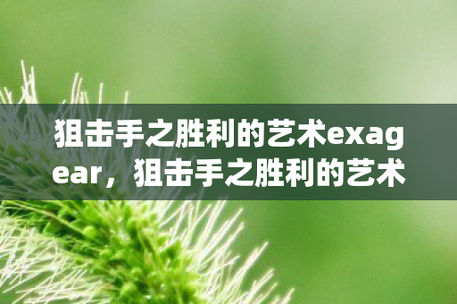 狙击手之胜利的艺术exagear,狙击手之胜利的艺术 狙击手之胜利的艺术exagear,狙击手之胜利的艺术